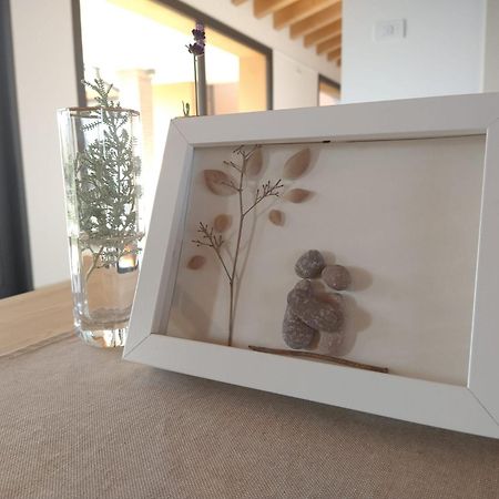 Agriturismo Verdecielo Padwa Zewnętrze zdjęcie