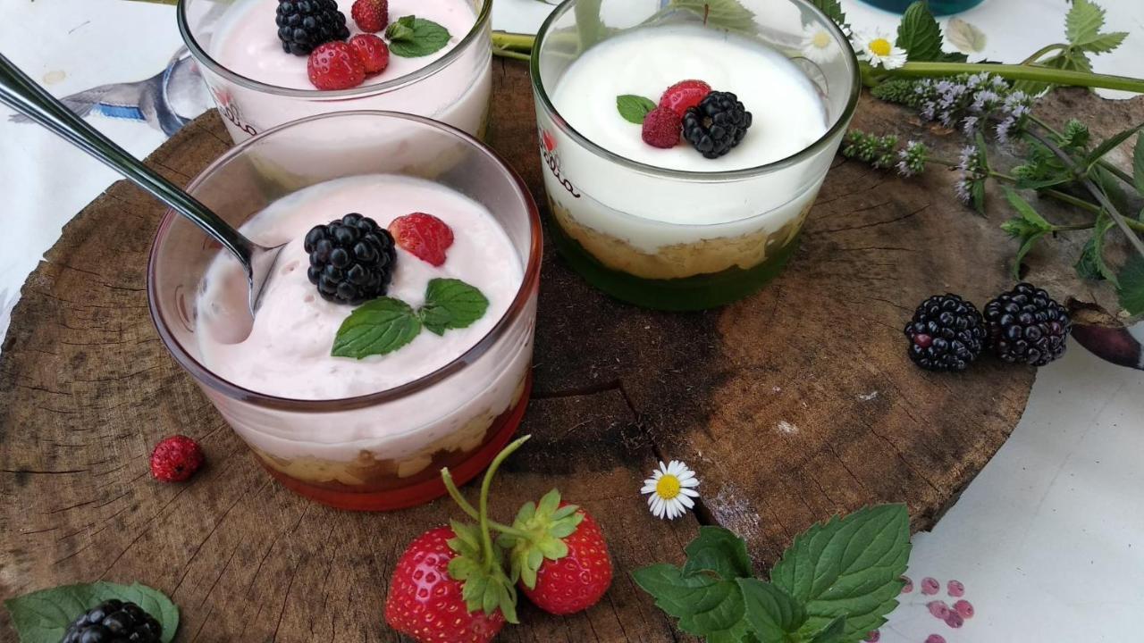Agriturismo Verdecielo Padwa Zewnętrze zdjęcie