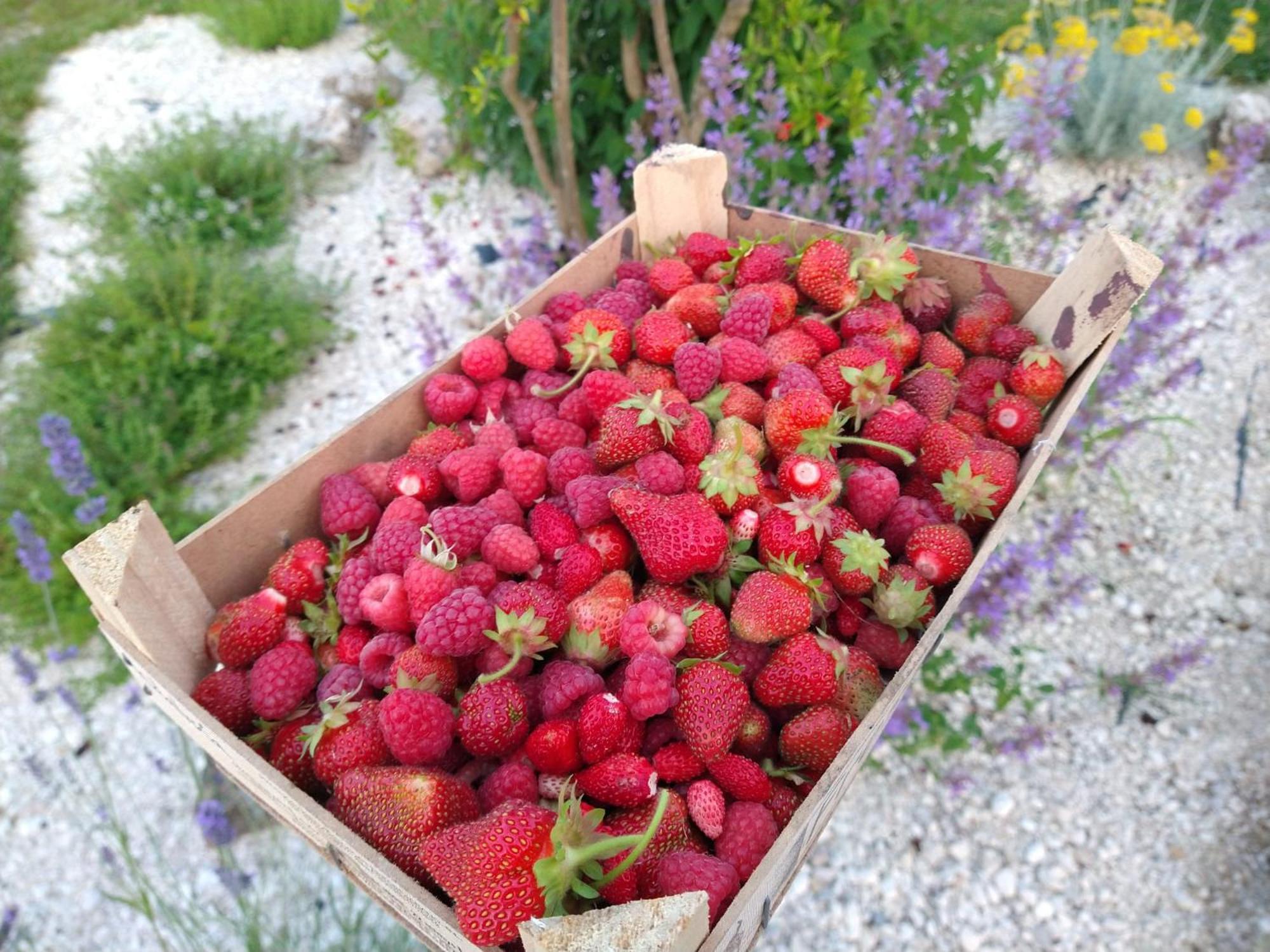 Agriturismo Verdecielo Padwa Zewnętrze zdjęcie