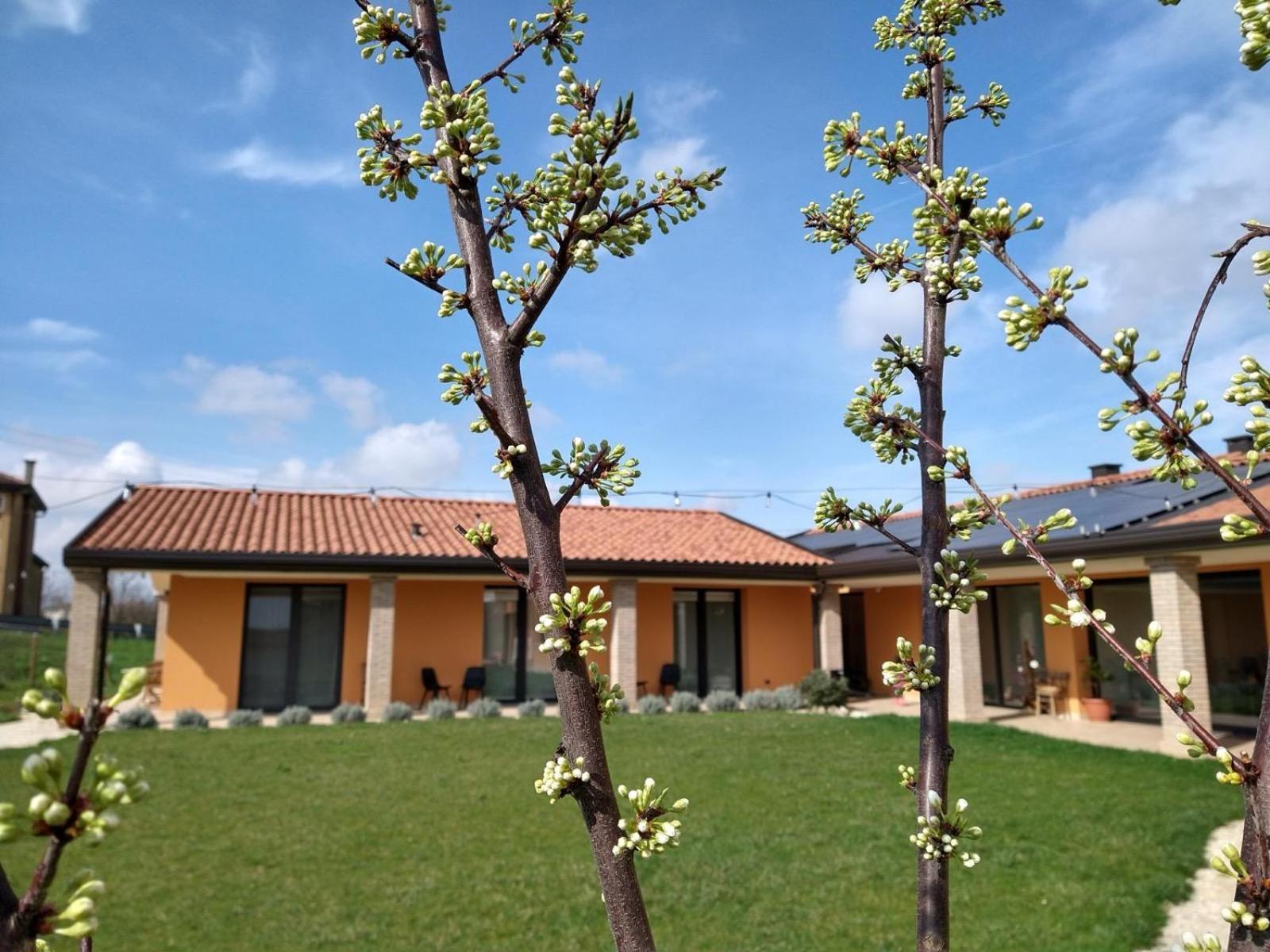 Agriturismo Verdecielo Padwa Pokój zdjęcie