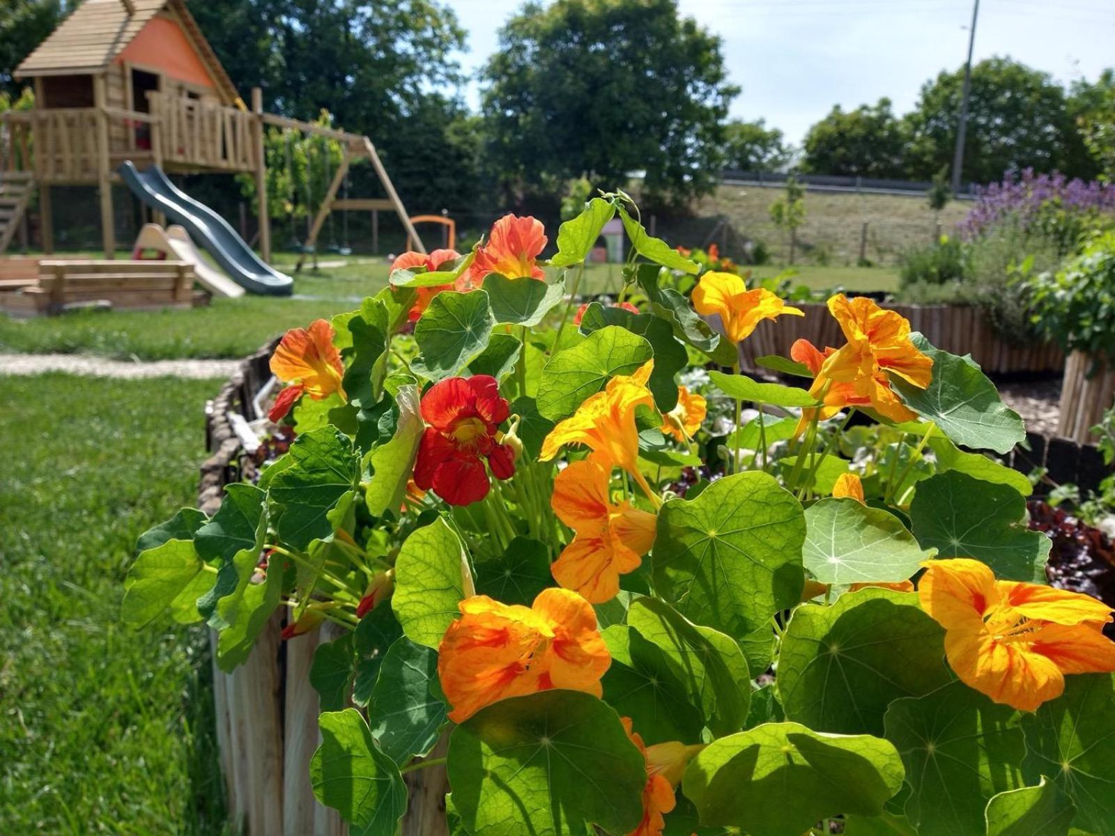 Agriturismo Verdecielo Padwa Zewnętrze zdjęcie